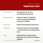 Пеларгония Королевская Elegance Coral Sunset (0,1л.) — параметры сорта
