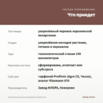 Пеларгония королевская Elegance David (0,1л) — что приедет