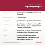 Пеларгония королевская Elegance Franny (0,1л) — параметры сорта