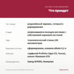 Пеларгония королевская Elegance Franny (0,1л) — что приедет