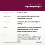Пеларгония Королевская Elegance Imperial (0,1л.) — параметры сорта