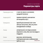 Пеларгония Королевская Elegance Imperial (0,1л.) — параметры сорта