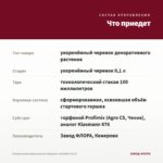 Пеларгония Королевская Elegance Jeanette (0,1л) — что приедет