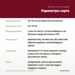 Пеларгония Королевская Elegance Jeanette (0,1л) — параметры сорта