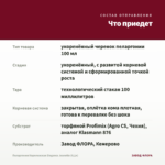 Пеларгония Королевская Elegance Jeanette (0,1л) — что приедет