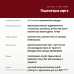 Пеларгония Королевская Elegance Kate (0,1л.) — параметры сорта