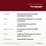 Пеларгония Королевская Elegance Kate (0,1л.) — что приедет