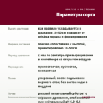Пеларгония королевская Elegance Loes (0,1л) — параметры сорта