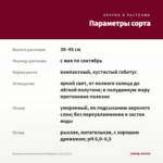 Пеларгония королевская Elegance Loes (0,1л) — параметры сорта