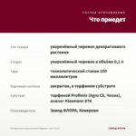 Пеларгония королевская Elegance Loes (0,1л) — что приедет