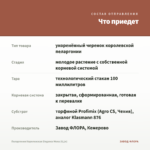Пеларгония Королевская Elegance Mona (0,1л) — что приедет