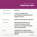 Пеларгония Королевская Elegance Nicolette (0,1л) — параметры сорта