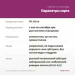 Пеларгония Королевская Elegance Nicolette (0,1л) — параметры сорта