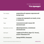Пеларгония Королевская Elegance Nicolette (0,1л) — что приедет
