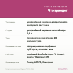 Пеларгония королевская Elegance Patricia (0,1л) — что приедет