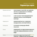 Пеларгония королевская Elegance Patricia (0,1л) — параметры сорта