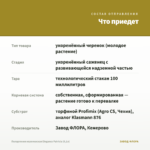 Пеларгония королевская Elegance Patricia (0,1л) — что приедет