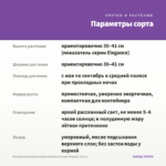 Пеларгония Королевская Elegance Purper Majesty (0,1л.) — параметры сорта