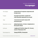 Пеларгония Королевская Elegance Purper Majesty (0,1л.) — что приедет
