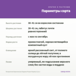 Пеларгония Королевская Elegance Purper Majesty (0,1л.) — параметры сорта