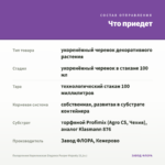 Пеларгония Королевская Elegance Purper Majesty (0,1л.) — что приедет