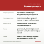Пеларгония королевская Elegance Red Velvet (0,1л) — параметры сорта