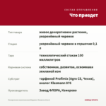 Пеларгония королевская Elegance Rosanna (0,1л) — что приедет
