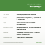 Пеларгония Королевская Elegance Royalty White (0,1л.) — что приедет
