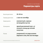 Пеларгония королевская Elegance Sunrise (0,1л) — параметры сорта