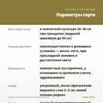 Пеларгония Королевская Green Woodpecker (0,1л) — параметры сорта