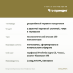 Пеларгония Королевская Green Woodpecker (0,1л) — что приедет