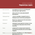 Пеларгония королевская Mandarin (0,1л) — параметры сорта