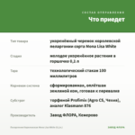 Пеларгония Королевская Mona Lisa White (0,1л.) — что приедет