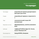 Пеларгония Королевская Мона Лиза (0,1л) — что приедет