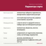 Пеларгония Королевская Pac Bermuda Cherry (0,1л) — параметры сорта