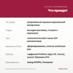 Пеларгония Королевская Pac Bermuda Cherry (0,1л) — что приедет