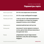 Пеларгония королевская Wien (0,1л.) — параметры сорта