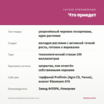 Пеларгония Марбаска Тюльпан (0,1л) — что приедет