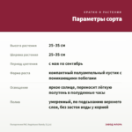 Пеларгония PAC Angeleyes Randy (0,1л) — параметры сорта
