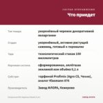 Пеларгония PAC Angeleyes Randy (0,1л) — что приедет