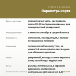 Пеларгония PAC Viva Carolina (0,1л) — параметры сорта