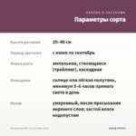Пеларгония PAC Viva Carolina (0,1л) — параметры сорта