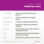 Пеларгония плющелистная Grandeur Ivy Violet (0,1л) — параметры сорта