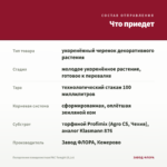 Пеларгония плющелистная PAC Tomgirl (0,1л) — что приедет