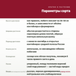 Пеларгония плющелистная PAC Tomgirl (0,1л) — параметры сорта
