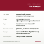 Пеларгония плющелистная PAC Tomgirl (0,1л) — что приедет