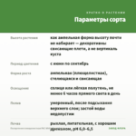 Пеларгония плющелистная PAC White Pearl (0,1л) — параметры сорта