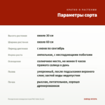 Пеларгония плющелистная PАС Kate (0,1л) — параметры сорта