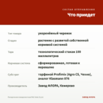 Пеларгония плющелистная PАС Kate (0,1л) — что приедет