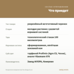 Пеларгония плющелистная Тесс Влада (0,1л) — что приедет